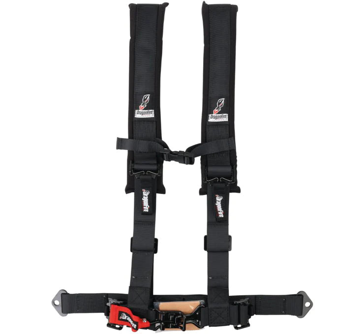 Dragonfire harnesses black, H-Style, 4-Point, 2" Buckle